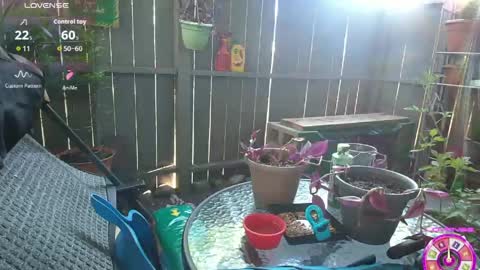 sheilyn_smith online show from 06-02-26, 02:02