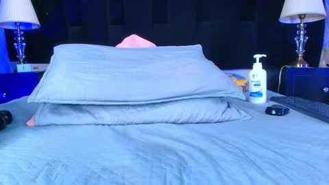Snapshot of shelsy_loreds chatting on 01-31-25, 03:00 Shelsy online show from 01-31-25, 03:00