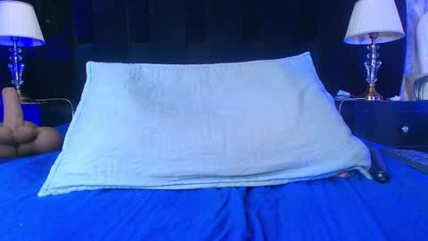Snapshot of shelsy_loreds chatting on 02-12-25, 02:54 Shelsy online show from 02-12-25, 02:54