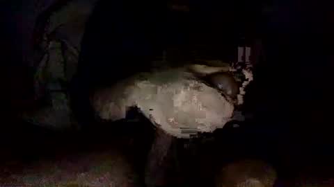 shoot3s__ online show from 12-14-24, 02:12