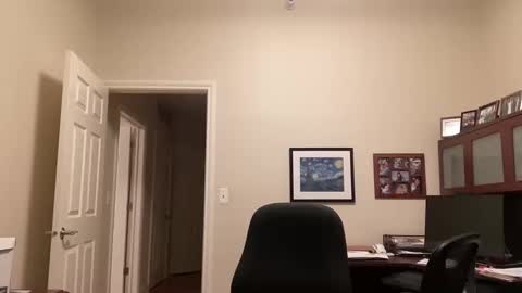 Chicago Guy online show from 02-16-25, 04:31