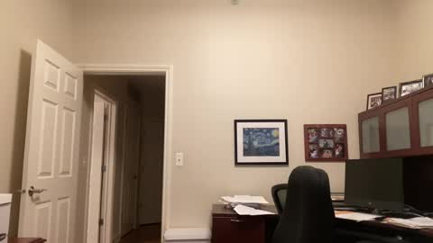 Chicago Guy online show from 07-18-26, 03:33