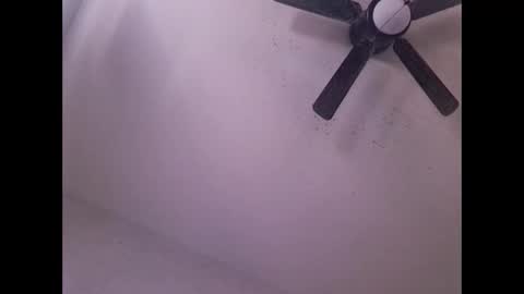 showuthed online show from 04-20-26, 01:19