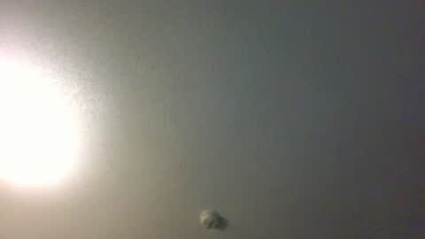 Snapshot of showuthed chatting on 07-14-26, 02:38 showuthed online show from 07-14-26, 02:38