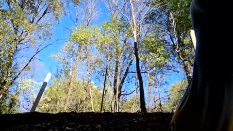 Aurora Wolfe  Shy College Girl  Top 16 of all OF Creators online show from 01-11-25, 11:13