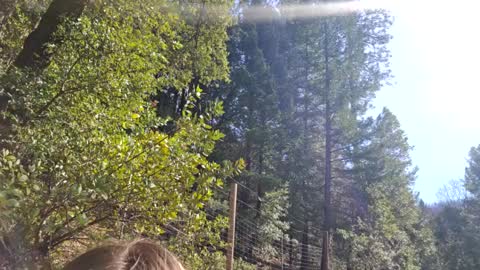 Aurora Wolfe  Shy College Girl  Top 16 of all OF Creators online show from 02-10-25, 09:47