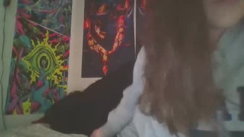 Snapshot of shymilf535 chatting on 12-18-24, 03:47 RBXs Princess online show from 12-18-24, 03:47