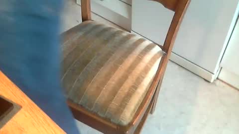 Snapshot of sibblii0 chatting on 01-07-25, 07:42 Seba online show from 01-07-25, 07:42