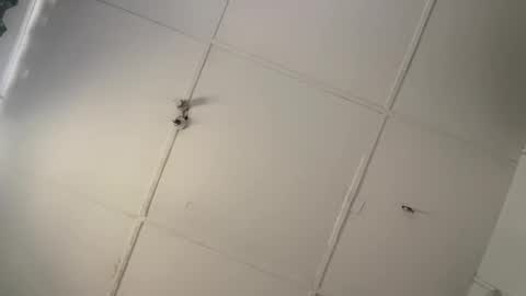 silkyandmasterr online show from 03-08-26, 08:51