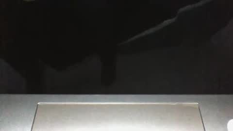 Silverhawk06 online show from 12-23-25, 02:20