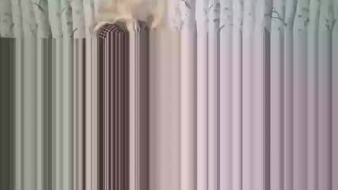 simontupin1973 online show from 12-17-25, 01:33