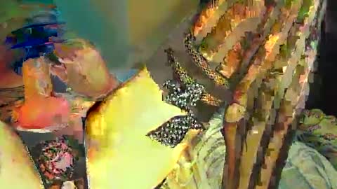 Snapshot of sir__loin411 chatting on 02-20-25, 05:07 Sir Loin online show from 02-20-25, 05:07