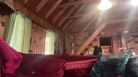 Snapshot of sirbubblesworth chatting on 01-10-25, 09:42 sirbubblesworth online show from 01-10-25, 09:42