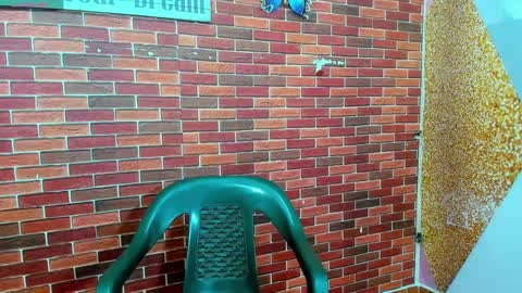 SIR RYANT online show from 02-27-25, 12:34