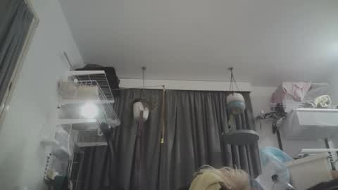 Snapshot of sissyboilooking chatting on 03-08-26, 10:41 RESPONDS WELL TO ... online show from 03-08-26, 10:41