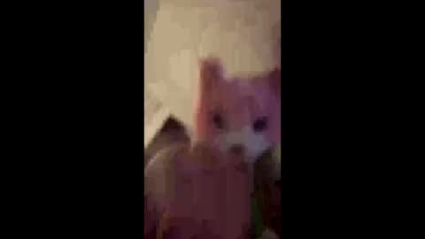 Snapshot of sissyboyinheels chatting on 06-01-26, 01:35 sissyboyinheels online show from 06-01-26, 01:35