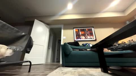 sissyinheelsbbc online show from 11-09-25, 02:21