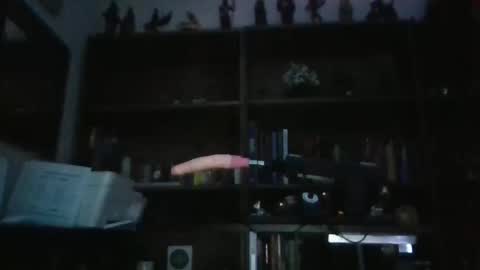 Snapshot of sissyonaleash82 chatting on 03-10-26, 09:03 Sissyonaleash online show from 03-10-26, 09:03