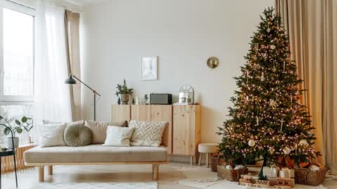 Snapshot of siswet19 chatting on 12-19-24, 02:02 Elise online show from 12-19-24, 02:02