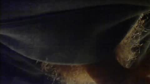 sjim368 online show from 12-02-25, 01:17