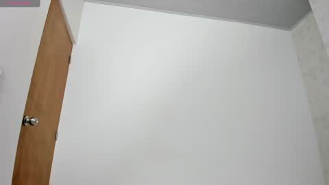 Snapshot of skinny_isabela chatting on 03-07-25, 11:29 Isabela online show from 03-07-25, 11:29