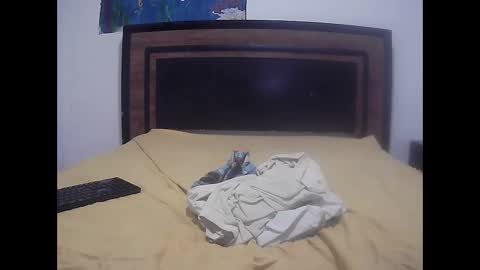 Snapshot of skinny_long_cock chatting on 04-14-26, 01:44 Albert online show from 04-14-26, 01:44