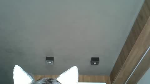 skinnykittencam online show from 10-07-25, 04:59