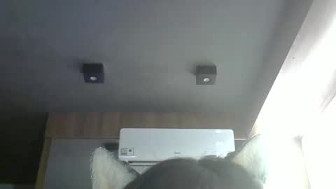 skinnykittencam online show from 03-24-26, 05:51