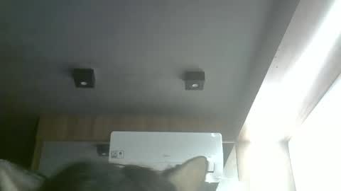 skinnykittencam online show from 05-17-26, 11:17