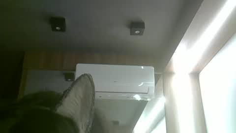 skinnykittencam online show from 06-03-26, 05:51