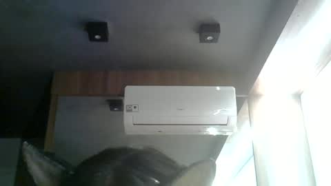 Snapshot of skinnykittencam chatting on 06-15-26, 08:33 skinnykittencam online show from 06-15-26, 08:33
