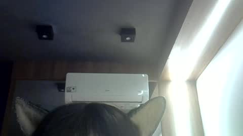 Snapshot of skinnykittencam chatting on 06-16-26, 08:50 skinnykittencam online show from 06-16-26, 08:50