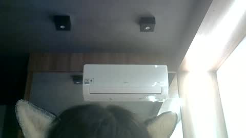 Snapshot of skinnykittencam chatting on 06-17-26, 12:02 skinnykittencam online show from 06-17-26, 12:02