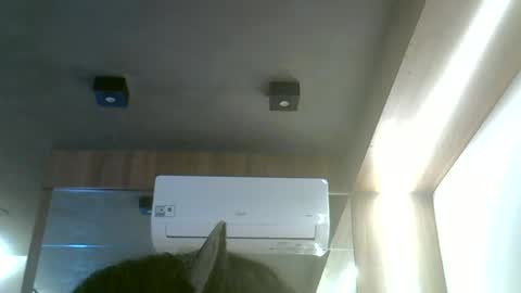 Snapshot of skinnykittencam chatting on 06-19-26, 12:20 skinnykittencam online show from 06-19-26, 12:20