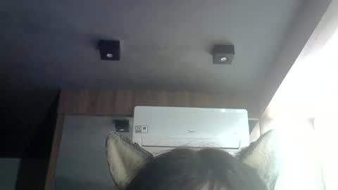 Snapshot of skinnykittencam chatting on 06-25-26, 05:12 skinnykittencam online show from 06-25-26, 05:12