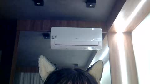 Snapshot of skinnykittencam chatting on 06-26-26, 01:04 skinnykittencam online show from 06-26-26, 01:04