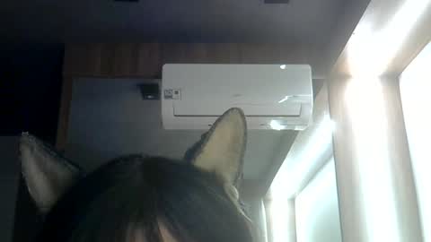 Snapshot of skinnykittencam chatting on 06-29-26, 03:13 skinnykittencam online show from 06-29-26, 03:13