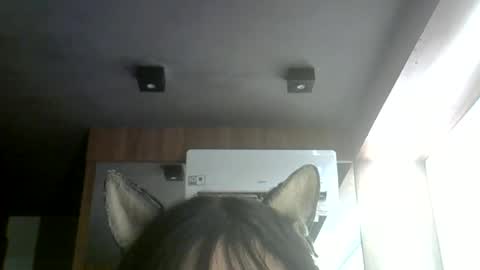 Snapshot of skinnykittencam chatting on 06-30-26, 06:31 skinnykittencam online show from 06-30-26, 06:31