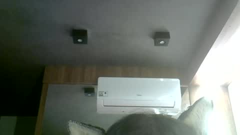 Snapshot of skinnykittencam chatting on 07-02-26, 05:24 skinnykittencam online show from 07-02-26, 05:24