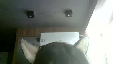 Snapshot of skinnykittencam chatting on 07-04-26, 05:35 skinnykittencam online show from 07-04-26, 05:35