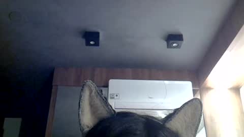 Snapshot of skinnykittencam chatting on 07-12-26, 07:43 skinnykittencam online show from 07-12-26, 07:43