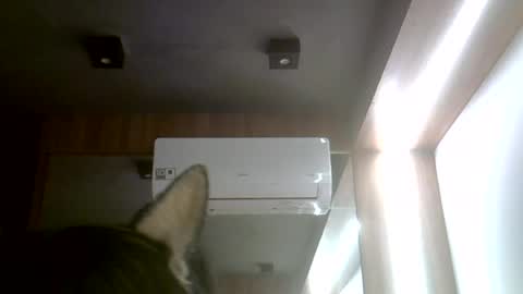 Snapshot of skinnykittencam chatting on 07-20-26, 11:45 skinnykittencam online show from 07-20-26, 11:45