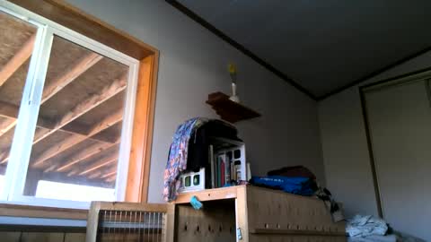 Snapshot of skinnystrong chatting on 01-31-25, 10:10 skinnystrong online show from 01-31-25, 10:10