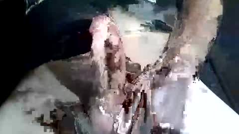 Z online show from 11-02-25, 09:28