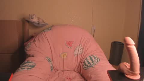 Nika   online show from 01-20-25, 02:46