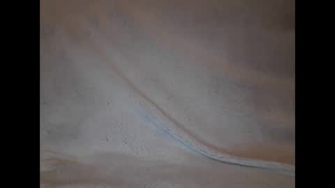 Snapshot of slava12345679 chatting on 02-04-25, 09:10 Alisa online show from 02-04-25, 09:10