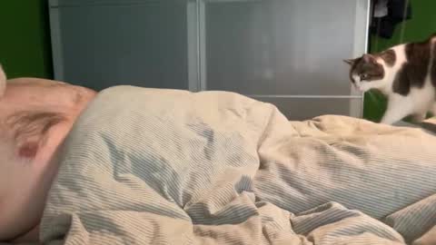 slice5 online show from 04-04-26, 08:34