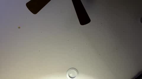 Snapshot of slickdog1969 chatting on 01-30-25, 06:03 Slickdog online show from 01-30-25, 06:03