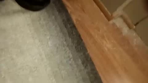 slickdog58 online show from 09-19-25, 07:47