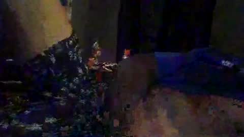 Snapshot of slimeguy315 chatting on 09-20-25, 03:40 slimeguy315 online show from 09-20-25, 03:40